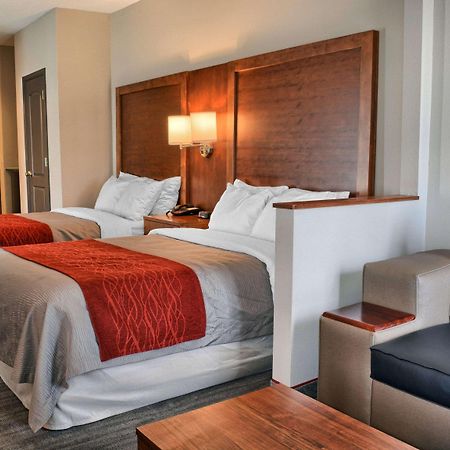 Comfort Inn Ruther Glen Near Kings Dominion מראה חיצוני תמונה
