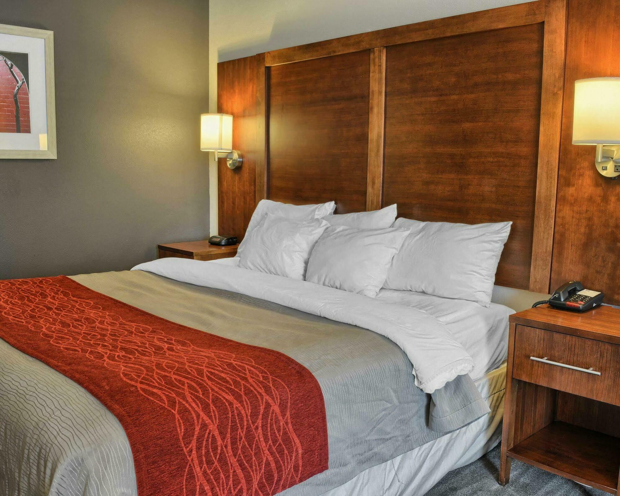 Comfort Inn Ruther Glen Near Kings Dominion מראה חיצוני תמונה